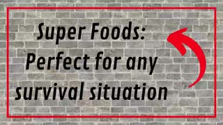 Super Foods Perfect for any Survival Situation