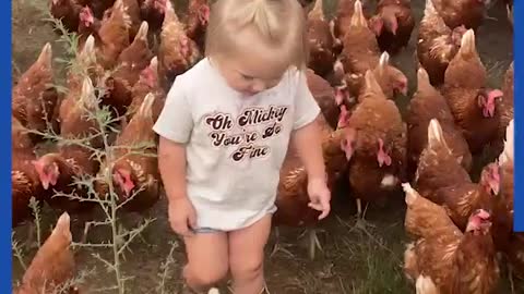 Thousands of chicken follows human baby everywhere