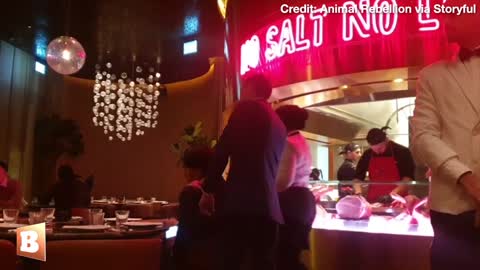 WATCH: Female Staff at Salt Bae's Restaurant PHYSICALLY HAUL Animal Rights Activist to the CURB