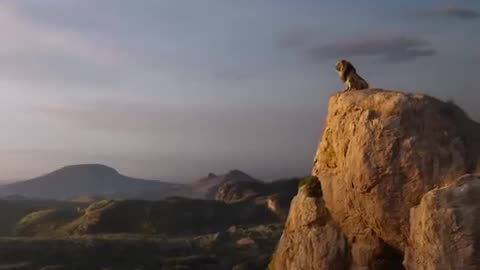 The lion king Movie Part 1