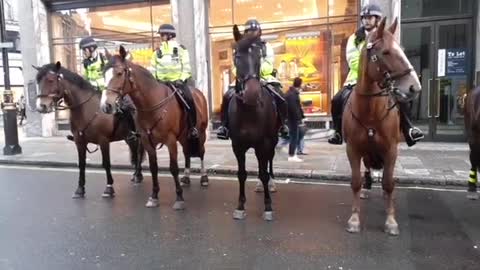 police horses anti Lock down protest London