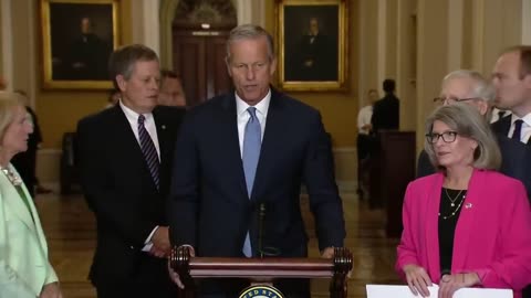 Mitch McConnell appears to freeze during press conference