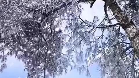 #snowview #aesthetic #wonderful ##beauty #foryou #tiktok #scenery #sceneryvideos