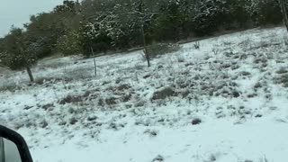 Texas snow storm