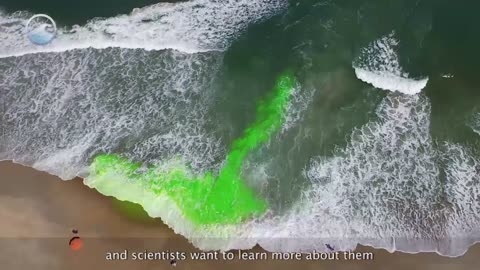 Rip Current Science (Part 4)