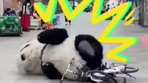 Cute panda ❤️ 🐼 #status #subscribe #trending #viral #shortsvideo #video #shorts #funny #share