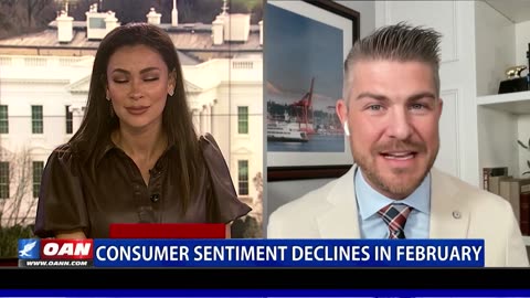 February Consumer Sentiment Dips: Expert Analysis by Sound Planning Group CEO