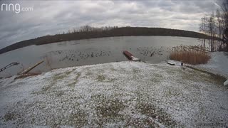 How to Remove a Large Gaggle of Geese From Yard