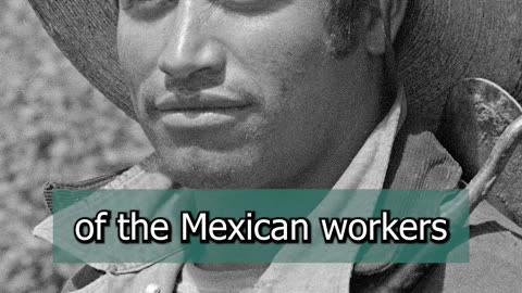 Mexican Workers in the U.S. : The Bracero Program