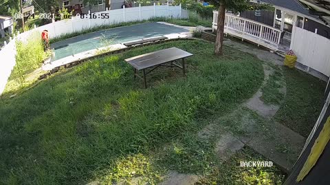 Dad Cutting Grass Accidentally Falls into Pool