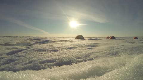 Unraveling the Greenland Ice Sheet: Insights from a Bold Field Study