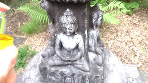 Buddha loves Vidya Aura
