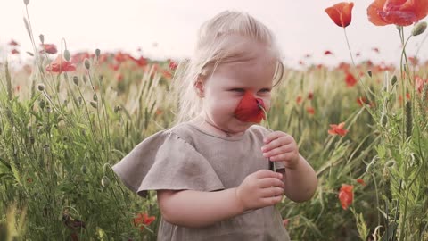 Blonde Girl Smelling Red Poppy Flower in The Meadow