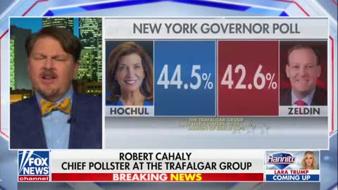 Pollsters Tell Sean Hannity They See GOP Winning Every Battleground Senate Race