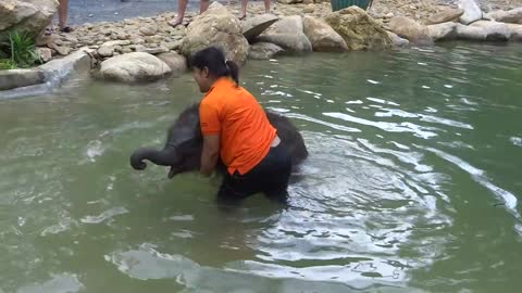 Bathing with the cute Baby Elephant of Khao Lak