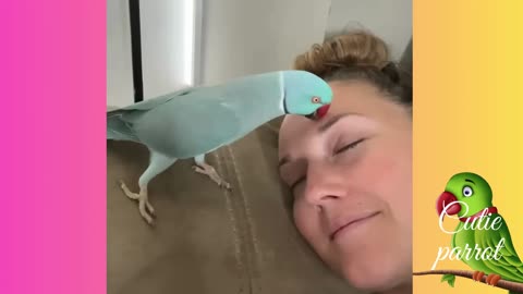 There's No Napping Around A Parrot..
