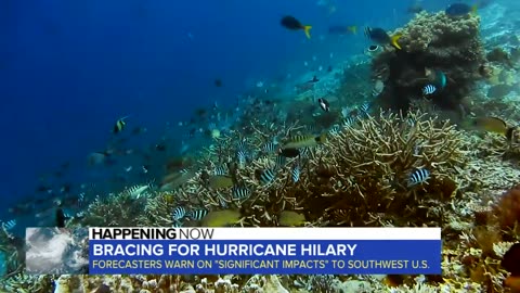 California braces for Hurricane Hilary _ WNN