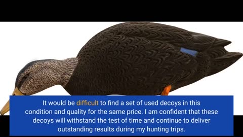 See Remarks: Avian-X Topflight Blue-Winged Teal Durable Ultra Realistic Floating Hunting Duck D...
