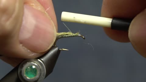 Caddisfly Pupa