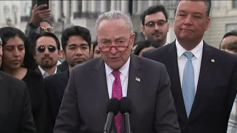 Chuck Schumer admits the Great Replacement Theory is REAL!