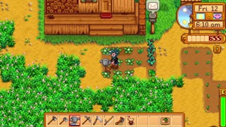 Stardew Valley