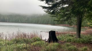 Hauntingly Beautiful Foggy Lake – Mount Hood National Forest – Oregon – 4K