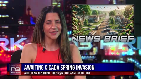 Cicada Swarm Set to Blanket US in Spring