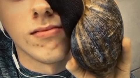 Biggest snail in tha world on Adrians face