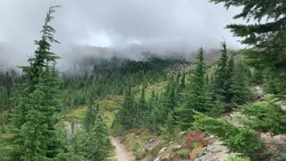 Oregon - Mount Hood - Misty Fog Blanketing the Alpine Forest