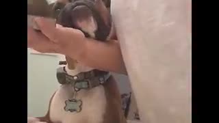 Pup Does Make Up With Mom