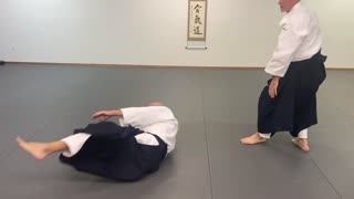 Aikido - 5th Kyu Testing Techniques