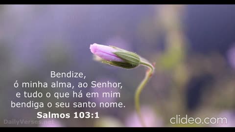 salmos-103-1-1_9NPpNXdh.mp4 o que e o reino de deus