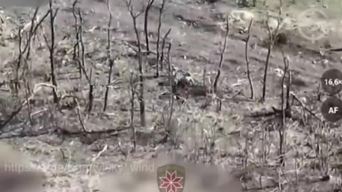 A Russian Unit Is Demolished By Ukrainian Artillery