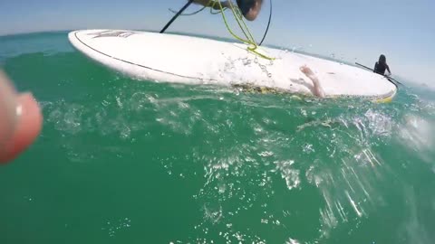 Giant Squid Attacks Surfboard!