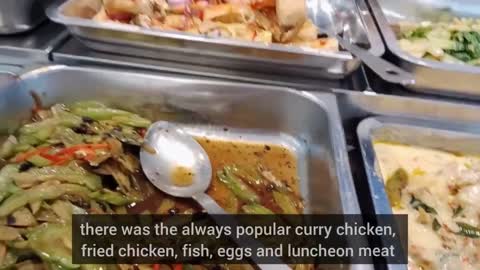 Malaysia, Lunch Buffet | 42 dishes | restaurant dishes | fast food | cheap food