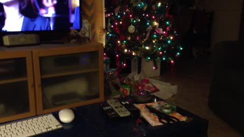 Dog flips over Christmas gifts