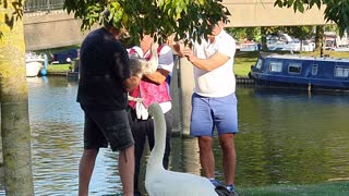 Kind Strangers Rescue Swan from Fishing Wire and Hook Stuck in Its Beak