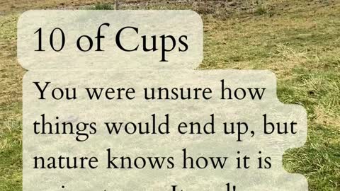 10 of Cups to Fool 2022-12-04
