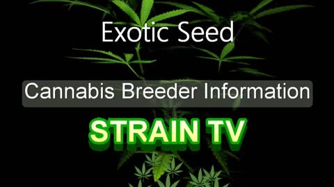Exotic Seed - Cannabis Strain Series - STRAIN TV