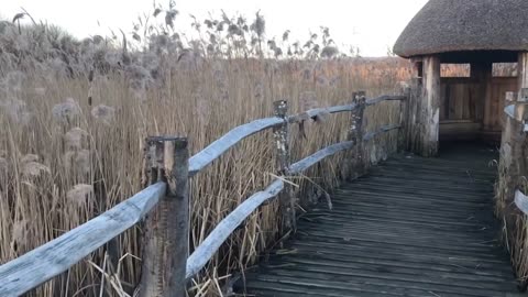 Westhay Nature Reserve - It's been a beautiful day.