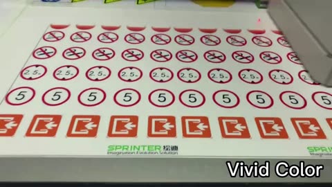 powerful guidelines for SPRINTER 6090 DPP-A1E UV Inkjet mini Printer