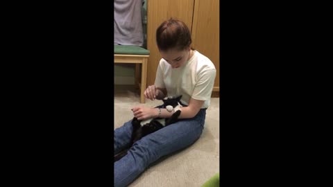 girl playing with funny cat