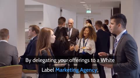 The Pros Of Working With A White Label Marketing Agency | API