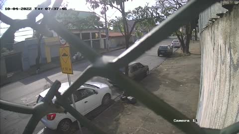 Falling Tree Almost Hits Pedestrian