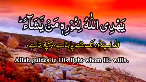 Surah_AlNoor, with urdu & English translation #quran #urdu_quran #fyp #fypシ