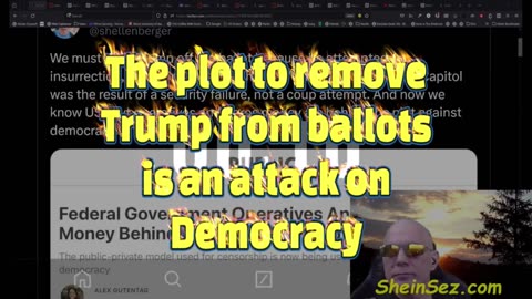 The plot to remove Trump from ballots is an attack on Democracy-SheinSez 397