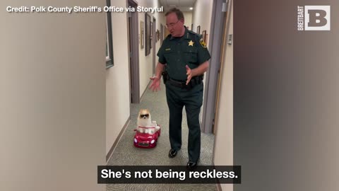 KODA the FLUFF Cruises in Style at Sheriff's Office to Spread Safe Driving Message