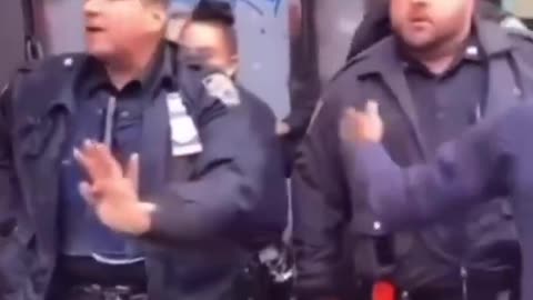 Police in the Bronx apprehended the man who assaulted and violated a woman