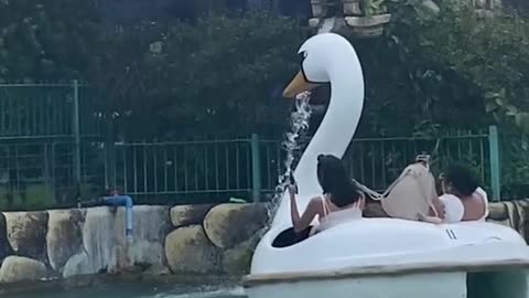 Swan Boat Makes An Unexpected Detour to Waterfall