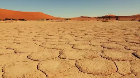 World of the Wild | Episode 9: The Deserts | Free Documentary Nature